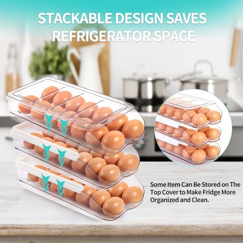 RoskDeewat Egg Holder for Fridge, Automatic Rolling Egg Container -2 Tier | Stackable Fridge Organizers and Storage with Lid, Sturdy Clear Plastic Egg Dispenser & Tray for Refrigerator - size: 2 Tiers Holder 28 Eggs