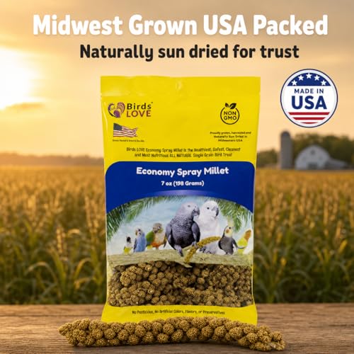 Birds LOVE Economy Spray Millet for Birds, 7 oz, GMO-Free Natural Millet Spray Treat, Stem-Reduced Edible Tops, Grown in USA, for Parakeets, Cockatiels, Lovebirds, Finches, Canaries & Small Parrots