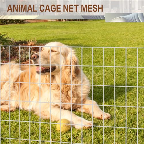 Tongmo 3 ft x 100 ft Galvanized Welded Wire Fence, 16GA Garden Chicken Wire Fence Roll, Mesh Size 2" x 4"Hardware Cloth, Ideal for Yard Protection and Poultry Netting - color: Galvanized, size: 3ft*100ft