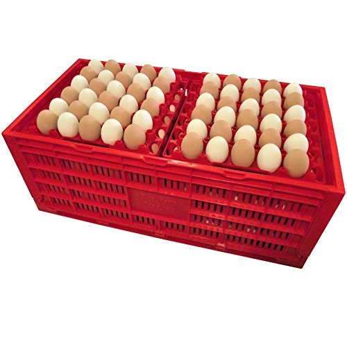 EGG TRAY CARTON TRANSPORT CRATE CHICKEN SHIPPING POULTRY CASE