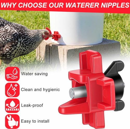 Tanlade 100 Pack Chicken Water Nipples Horizontal Automatic Chicken Waterer Nipples with Drill Bits, Gaskets & Wing Nuts for Chicks, Ducks, Quails, Hens & Poultry Coop Farm Use
