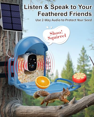 Bird Feeder with Camera, AI Recognition, Bird Bath, Solar Powered | Capture stunning 2K video, enjoy solar charging, bird bath design, night vision, smart app alerts and motion detection. - color: Blue, size: With BirdBath