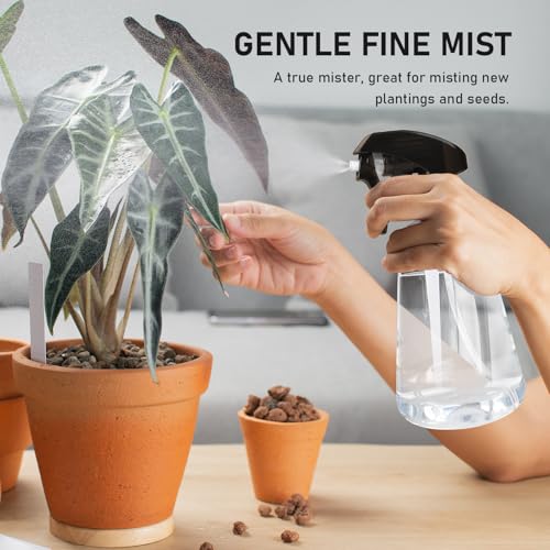 Spray Bottle 2 Pack, 16oz - Ultra Fine Mist, Plant Mister Indoor, Funnel | Empty Spray Bottles, Leak Proof Misting Water Sprayer for Gardening, Planting, Hair, Cleaning Solutions - Funnel Included - color: Clear