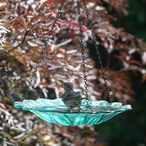 11" Recycled Glass Hanging Combination Bird Feeder and Bath for Wild Birds and Outdoor Décor, 0.625 Quart Capacity, Turquoise Dahlia Floral Design, Hanging Chains Included