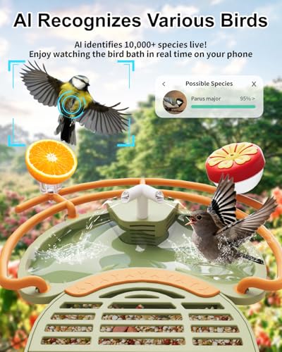 Bird Feeder with Camera, Smart Birdfeeder with Cam Solar Powered, 2K HD Video, AI Identification, Instant Arrival Alerts, IP66 Bird Bath & Feeder,Gift for BirdLover (with Pump, Green) - color: Green, style: With Pump