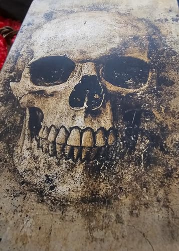 RK Collections Skull Head Trinket Box Small Jewelry Keepsake Box. Gothic Skeleton Lovers Gift Idea, Skull's Soul Spiritual Case/Holder. (6.5" Skull Face) - style: Skull