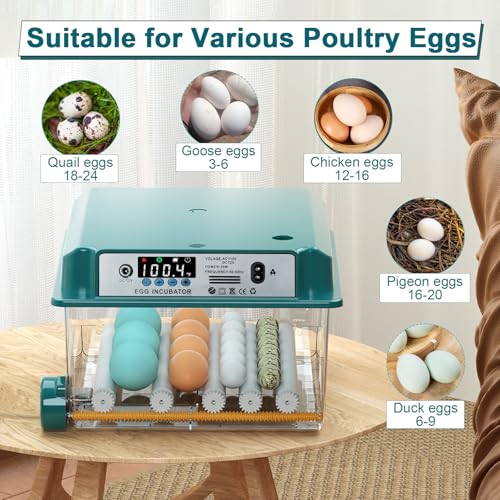 16 Eggs Incubators for Hatching Eggs, Egg Incubator with Automatic Egg Turning and Temperature Control, Chicken Egg Incubators with Egg Candler for Duck Goose Pigeon Quail - size: 16 Egg