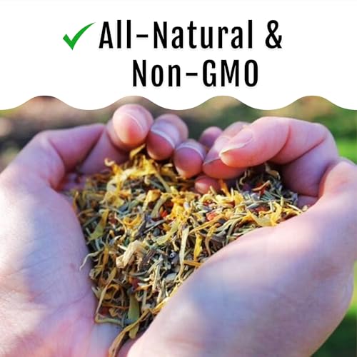 Buff Clucks Herbs Supplement for Chicken Food Natural Poultry Feed, 20 lb | Healthy Chick Snacks for Daily Wellness Feather Quality Egg Production Plant Based Chicken Herbs for Feed Treats for Chickens - size: 20 Pound (Pack of 1)