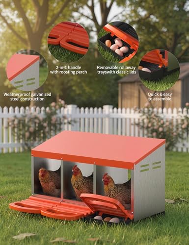 GarveeLife Chicken Nesting Box 3 Hole, Galvanized Steel Nest with Roll Away Egg Collection & Swing Perch, Easy-Clean Laying Box for Hens, Heavy Duty Design for Chicken Coop - color: Orange, size: 3 holes