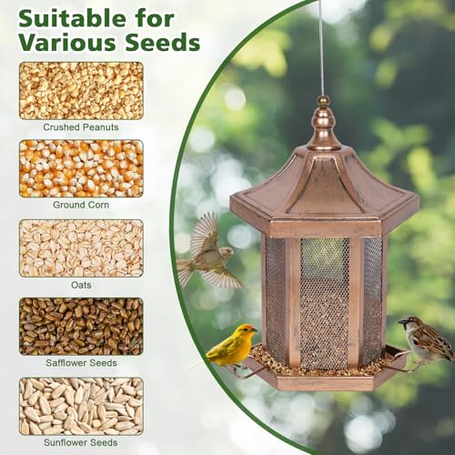 Metal Bird Feeder for Outdoors Hanging, Hexagon Bird Feeders for Garden Yard, 3LB Wild Birdfeeder Squirrel Proof for Outside