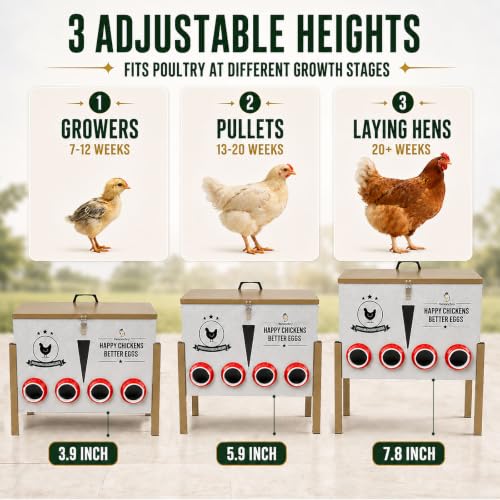 100 lb Automatic Chicken Feeder, 12-Port No-Waste Metal Feeder