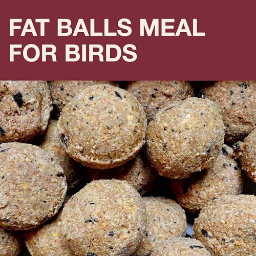 SWISSINNO Bird Feeders - No Mess Fat Ball/Suet Feeder for Outdoors Hanging - Smart Birds Lucerne Spill Proof Wild Cardinal Bird Feeder with Integrated Seed Catcher Tray - Burgundy - color: Burgundy, style: Lucerne