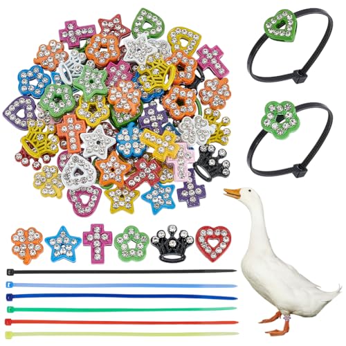 WADORN 60 Sets Chicken Leg Bands, 6 Styles Colorful Chicken Poultry Charms Adjustable Chicken Identification Bands Duck Poultry Foot Tags Plastic Cable Ties for Bird Duck Parrot Geese Turkey Pigeons