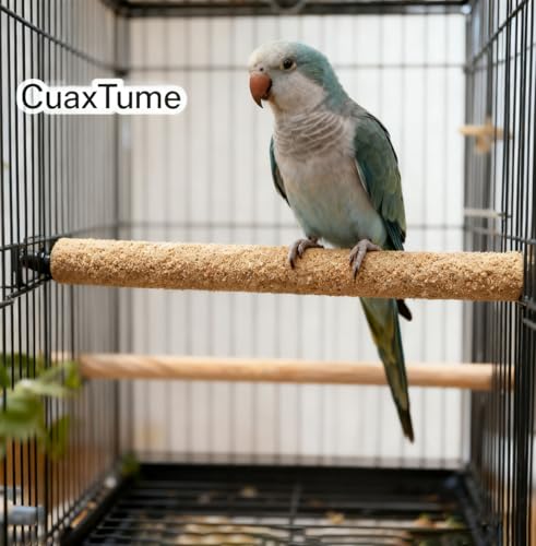 20-Pack Sanded Perch Covers for Parakeets - Bird Perchs Covers 7.5" L x 3/8" D Bird perches for Parakeets, Lovebirds, Parrotlets, Canaries and Other Small Birds (20pcs Small 7.5" L x 3/8" D) - size: 20pcs Small 7.5" L x 3/8" D