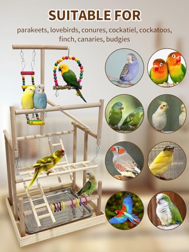 5 Layers Large Bird Playground Natural Wood Parrot Play Stand Birds Perch Stand Gym Parakeet Birds Cage Accessories with Removable Tray and 4 Stainless Steel Cups for Cockatiel Cockatoos Finch