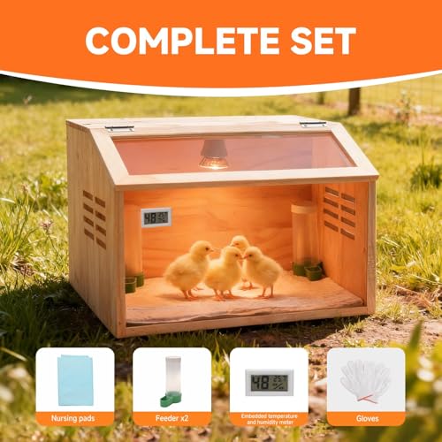 Wooden Chick Brooder Box with Heat Lamp and Thermometer, 15.7 x 12 x 12 in | Thick wood construction with pre-drilled holes suitable for chicks, ducklings, quail, hamsters small animals - size: Small(15.7x12x12 in)