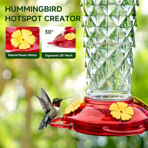 Glass Hummingbird Feeder 2-Pack 13 OZ with Ant Moats & Bee Guards | Diamond-Textured Hummingbird Feeders for Outdoors with Wide Mouth, Leak-proof Nectar Feeders, Garden Backyard Décor Gifts - color: Clear, size: 2 Pack