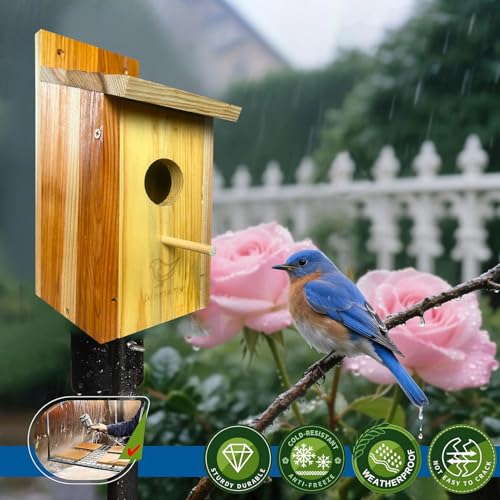 Large Bird House, Bird Houses for Outside Clearance, Cedar Birdhouses for Outdoors, Wood Birdhouse with Secure Latch, Bluebird Houses for Wren Swallow Finch Hummingbird