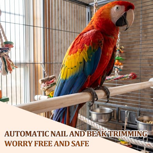 Sintuff 8 Pcs Bird Perches for Cage Accessories, Wooden Perch Rods Replacement with Double Head Slots, 0.6 Inch Diameter Natural Wood Stand for Parrot Macaw Cockatoo Parakeet (30 Inches) - size: 30 Inches