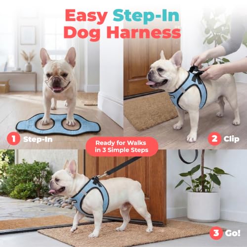 Voyager Step-in Air Dog Vest Harness - Baby Blue/Black Trim, XX-Small | 12 - 13.5" in Chest, Reflective Bands, All Weather Breathable Air Mesh, Cats Compatible, Lightweight, Fast Drying - color: Harness (Baby Blue/Black Trim), size: XXS (Chest: 12 - 13.5"