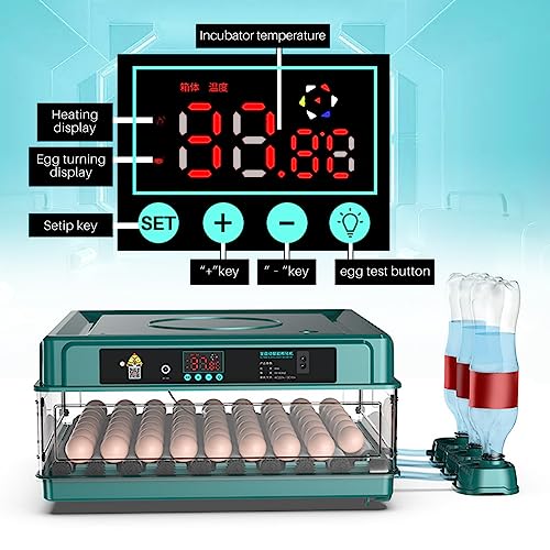 Automatic Egg Incubator 12-38 Egg Digital Poultry Hatcher Machine ith Automatic Egg Turning, Temperature & Humidity Control, Efficient LED Lighting for Chicken Geese Ducks Pigeons Quails (38 Eggs) - style: 38 Eggs