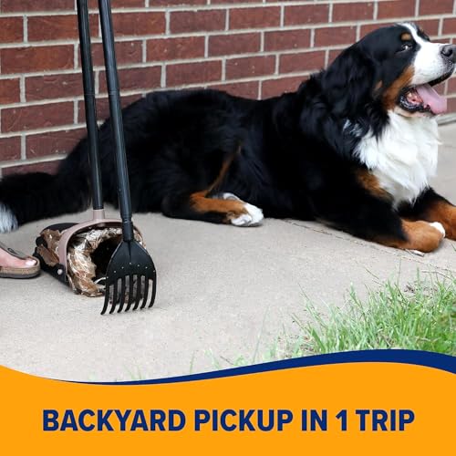 Arm & Hammer Dog Pooper Scooper Swivel Bin & Rake, Poop Scoop for Dogs, Black (2 Heavy Duty Scented Waste Bags Included) - size: One Size, style: Swivel and Rake Scooper
