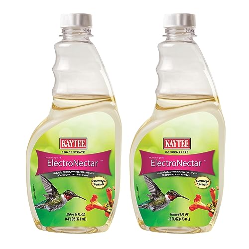 Kaytee Hummingbird ElectroNectar Wild Bird Food, 16 oz Concentrate 2 Pack, Makes 128 oz of ElectroNectar - size: 16 Fl Oz (Pack of 2), style: 16 Fl Oz Concentrate (Pack of 2)