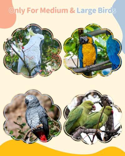 Pawfly Millet Spray Holder, Millet Holder for Bird Cage, Stainless Steel Bird Treat Holder, Bird Cage Food Holder for Parrots, Parakeet Foraging Feeder for Fruits, Veggies & Treats