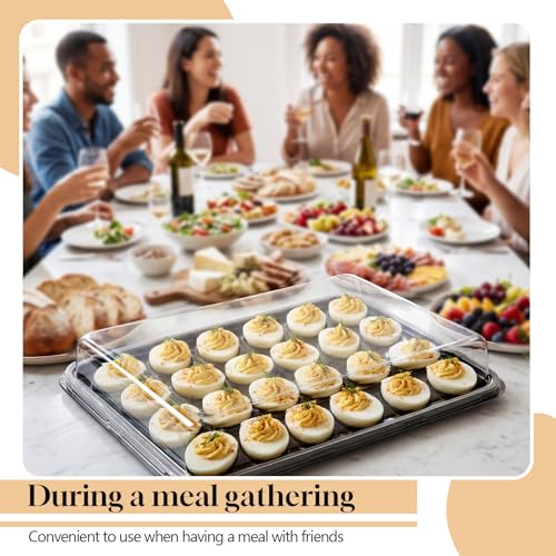 Shellwei 5 Pack Extra Large Deviled Egg Containers with Lids | Holds 120 Eggs Total (24 Each), Disposable Deviled Egg Tray Stackable Platters Trays for Party, Picnic & Fridge Storage - style: Square