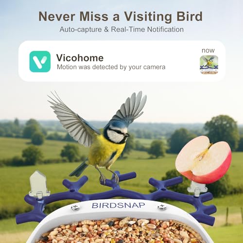 Smart Bird Feeder with Camera Solar Powered 2K HD Live Video with 32GB Card | AI Identifies 10,000+ Bird Species, Instant Alerts, IP65 Waterproof, Easy Setup, Bird Watching Gift for Bird Lovers - color: Blue