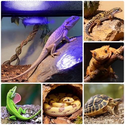 UVB Light for Reptiles, TFNN LED Reptile Light Fixture with Timer & Dimmable, Full Spectrum UVA UVB Reptile Lamp for Bearded Dragon Turtle Lizard Gecko Snake (18W)