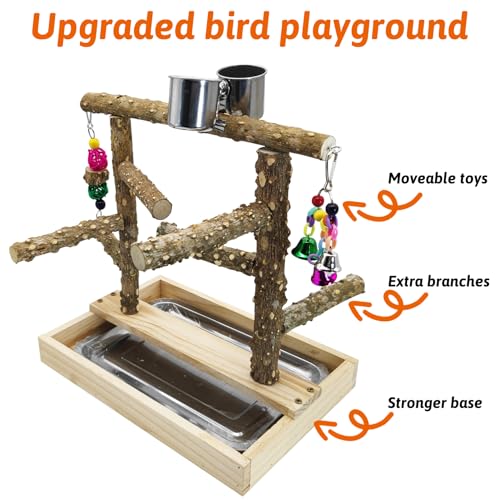 BNOSDM Natural Wood Bird Playground for Training & Playing, Parrot Perch Stand Jungle Gym with Detachable Tray & Stainless Feeder Cups Parakeet Cage Playstand for Budgie, Cockatiel, African Grey - color: Double Column Bird Stand