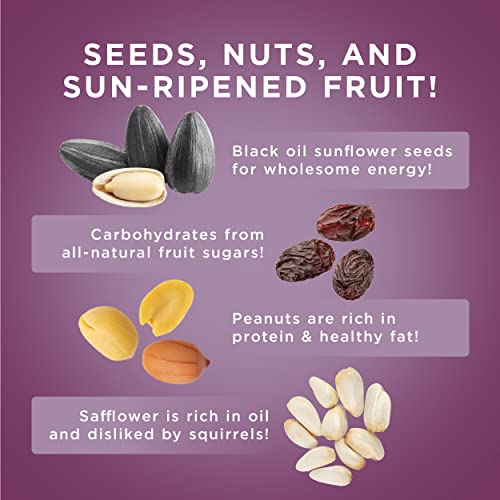 Audubon Park Nut & Fruit Snack Stack Wild Bird Food, Bird Seed Cake for Outside Feeders, 6-Pack | Bird Seed Cake for Outside Feeders