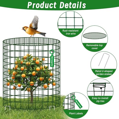 Convivium Plant Protectors from Animals 6 Packs, 13 x 12 in Metal Chicken Wire Cloche Plant Cages for Outdoor Plants, Garden Fencing Animal Barrier with Detachable Dome Lid, Stakes & Zip Ties