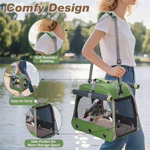 Bird Carrier Parrot Travel Cage with Perch, Food Bowl, Tray and Breathable Clear Window, Bird Travel Bag for African Gray Cockatiel Caique Conure Quaker, for Vetting Camping Hiking (Green) - color: Green