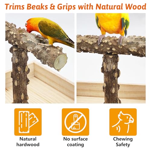 BNOSDM Portable Bird Perch Stand with Potty Tray, Natural Wood Tabletop Training Gym Parrot Playground Toy for Budgies, Cockatiels, Lovebirds,Conures - color: T-Shaped Bird Stand