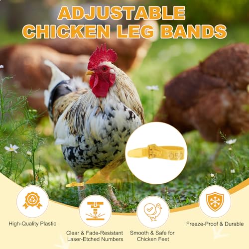 M METERXITY 100-Pack Adjustable Chicken Leg Bands, 10-28 mm Plastic Poultry Identification Chicken Leg Rings for Turkey/Duck/Goose/Chicks, Colorful Numbered Foot Clip on Tags [Yellow] - color: Yellow