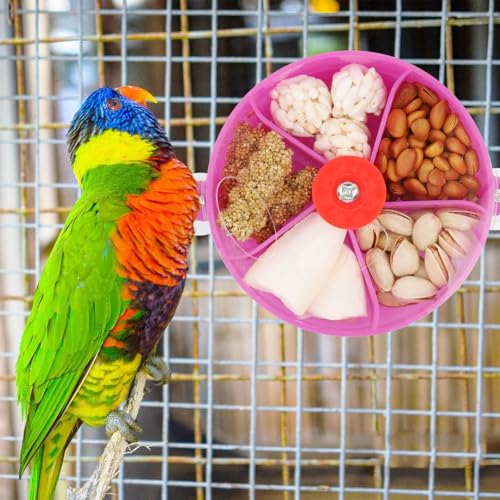 Bird Creative Foraging System Wheel Seed Food Ball Rotate Training Toy for Small and Medium Parrots Parakeet Cockatiel Conure (Purple) - color: Purple