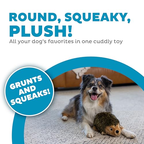 Outward Hound Hedgehogz Plush Dog Toy, Squeaks & Grunts, Medium, 9" x 6.5" | Soft Realistic Faux Fur, Round for Rolling & Chasing, Cuddle & Carry, Interactive Fetch, Light Chewers, Dogs & Puppies - size: Medium (Pack of 1)