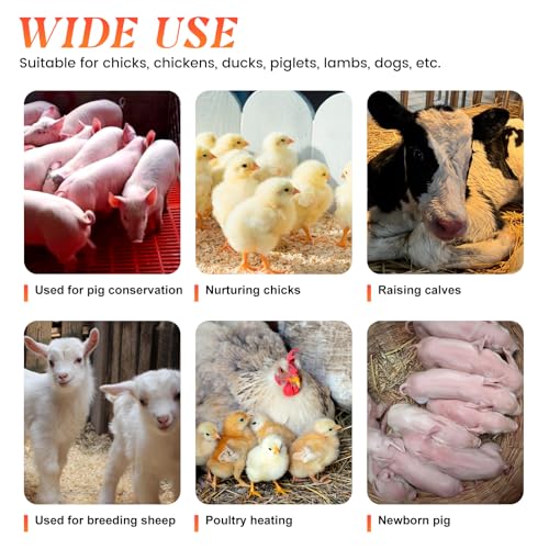 Chicken Heat Lamp Chick Brooder Chickens Coop Heater | Waterproof Heating Lamp for Outdoor & Indoor, 300W Heater for Dog Rabbit Duck Chicken Piglet Goat, 2 adjustable heat settings