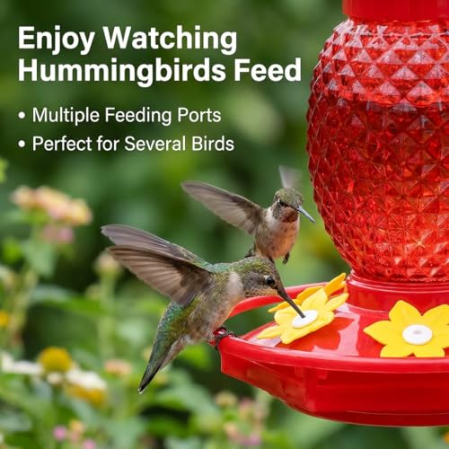 Fchstaer Glass Hummingbird Feeders for Outdoors Hanging 16oz 2 Pack Red Pineapple Bee & Ant Proof 360°Perch Leakproof Easy Clean with 6 Feeding Ports Gifts for Mom - color: Red-2PC
