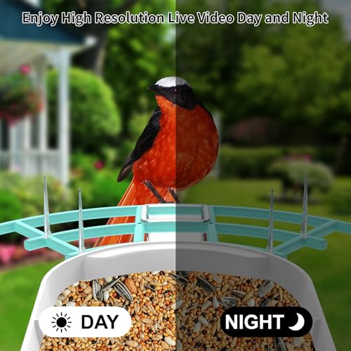 Bird Feeder with Camera, Auto Capture Wiress Bird Feeder Camera, AI Identify Bird Breed,FHD Waterproof Outdoor Bird Watching Camera,Solar-Powered, for Garden,Yard,Park,Ideal Gift for Mom and Dad,Blue | Auto records FHD videos of birds in your backyard,Ins