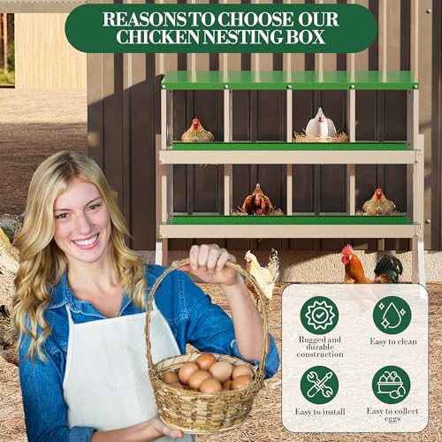 ‌Garvee Galvanized Steel Chicken Nesting Box with Roll Out Egg Tray - 8 Hole, Rustproof & Ventilated Laying Boxes for Hens, Chickens, Ducks | Easy-Clean Poultry Coop Accessories, Green with Stand