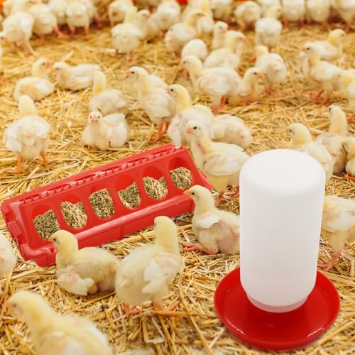 Chicken Feeder and Waterer Kit | Flip Top Chick Feeder with 12 No Waste Feeding Holes,1L Plastic Waterer,Starter Kit for Baby Chicks, Ducks,Easy Fill