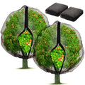 2 Pack Fruit Tree Netting Bags with Zipper and Drawstring, Ultra Fine Mesh Garden Netting Plant Cover, Bird Netting for Blueberry Bushes, Fruit Vegetable Trees, Flowers (Black, 10 x 10 ft) - color: Black, size: 10 x 10 ft