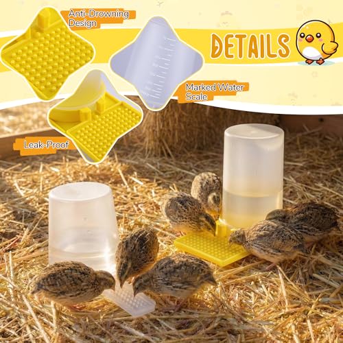 2 Pack Quail Water Feeder, Anti Drowning Design, 400ml | Ideal for Button Quail, Quails, Baby Chicks, Ducks, and Baby Birds - size: 2pack 400ml, style: 2pack Quail Water Feeder