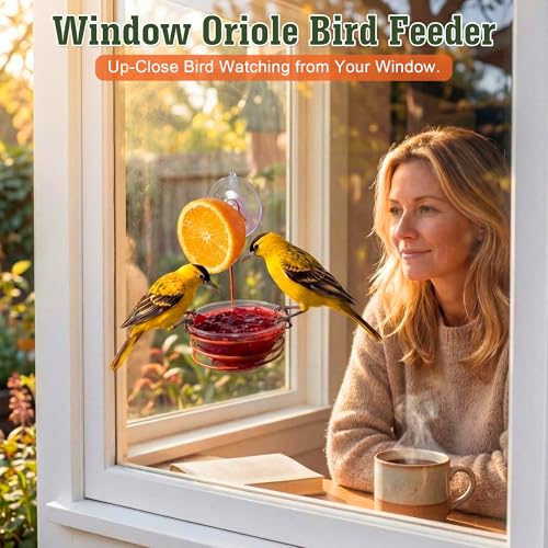 2 Set Window Oriole Feeders for Outdoors, 6 oz | Hanging Metal Oriole Bird Feeder for Jelly and Oranges with Fruit Holder & Strong Suction Cup for Window, Garden, Patio