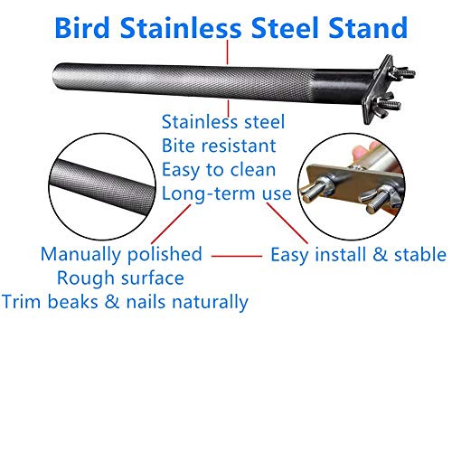 Bird Perch Stainless Steel Stand Parrot Rod Grinding Claws Trimming Beak Nails Grinding Stick Exercise Platform for Parakeet Cockatiel Conure African Grey Macaw Finch Bird Cage Accessories (L) - size: L: 11.79x 0.98inch