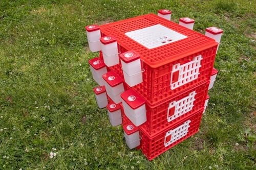 RentACoop Stackable Poultry Carrier Crate (Pack of 4) - size: Pack of 4, 29.0"L x 22.0"W x 12.0"H