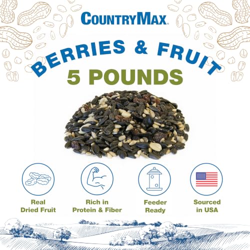 Backyard Seeds Berries 'N Fruit Bird Seed Mix 5lbs - Premium Blend with Dried Fruit & Berries, Large Bag of Wild Bird Food - size: 5 Pound (Pack of 1), style: Berry and Fruit Frenzy